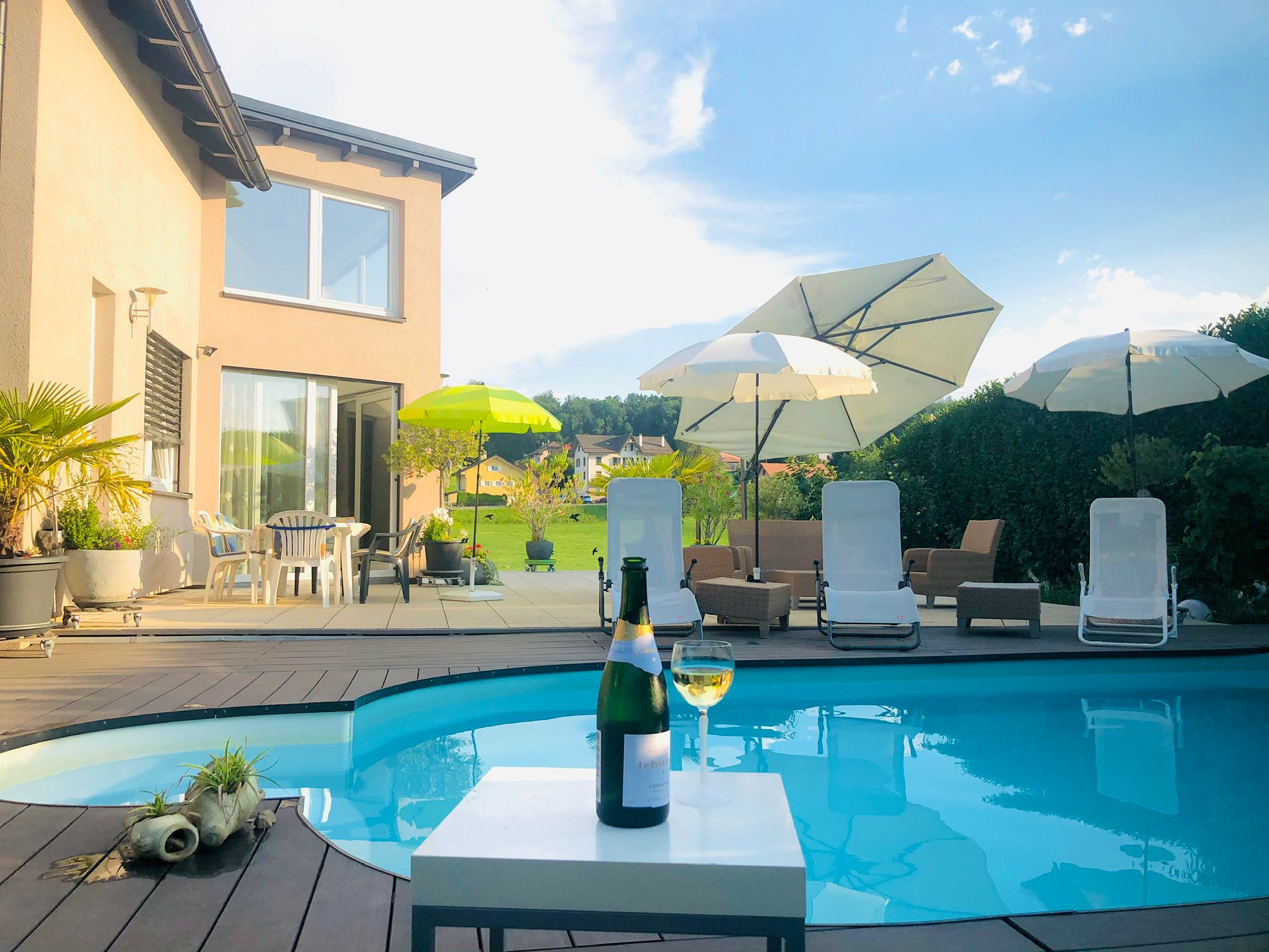 Villa pool, jacuzzi 6-16 persons, 20 min. from Montreux
